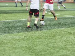 费德勒倡导,联合,科娃哈妹等,PG,PG电子官网,PG,app,PG电子登录入口,PG电子注册